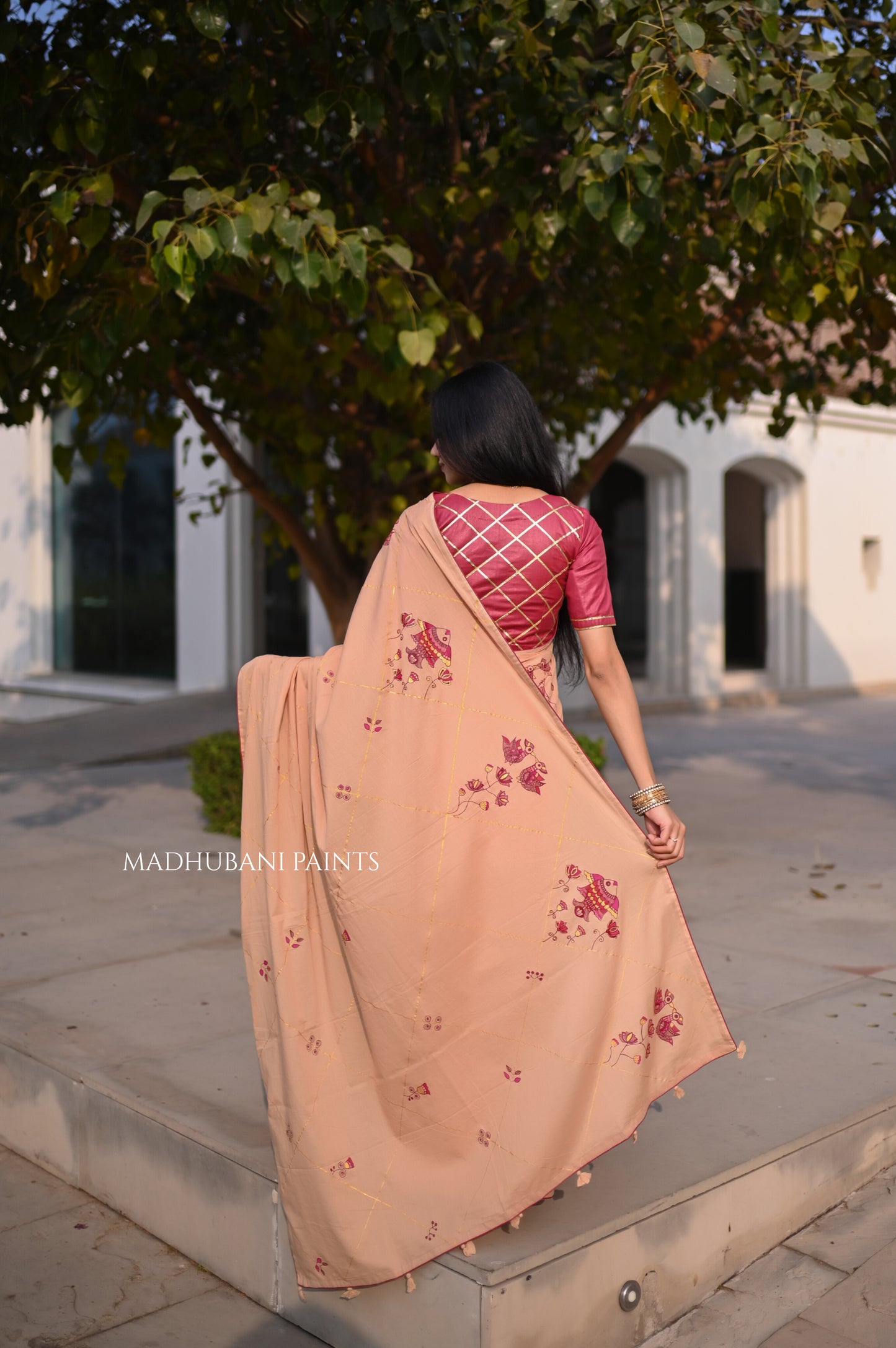 RAAGINI SAREE BLOUSE SET